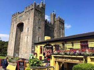 Durty Nelly's, Bunratty